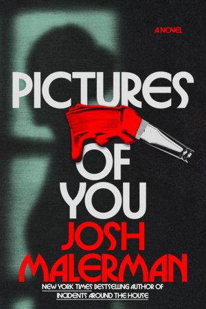 Pictures of You: A Novel by Josh Malerman
