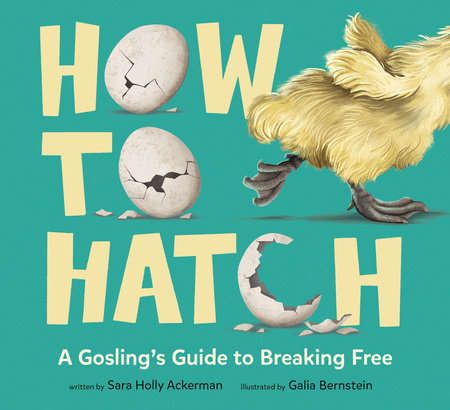 How To Hatch by Sara Holly Ackerman; Illustrated by Galia Bernstein
