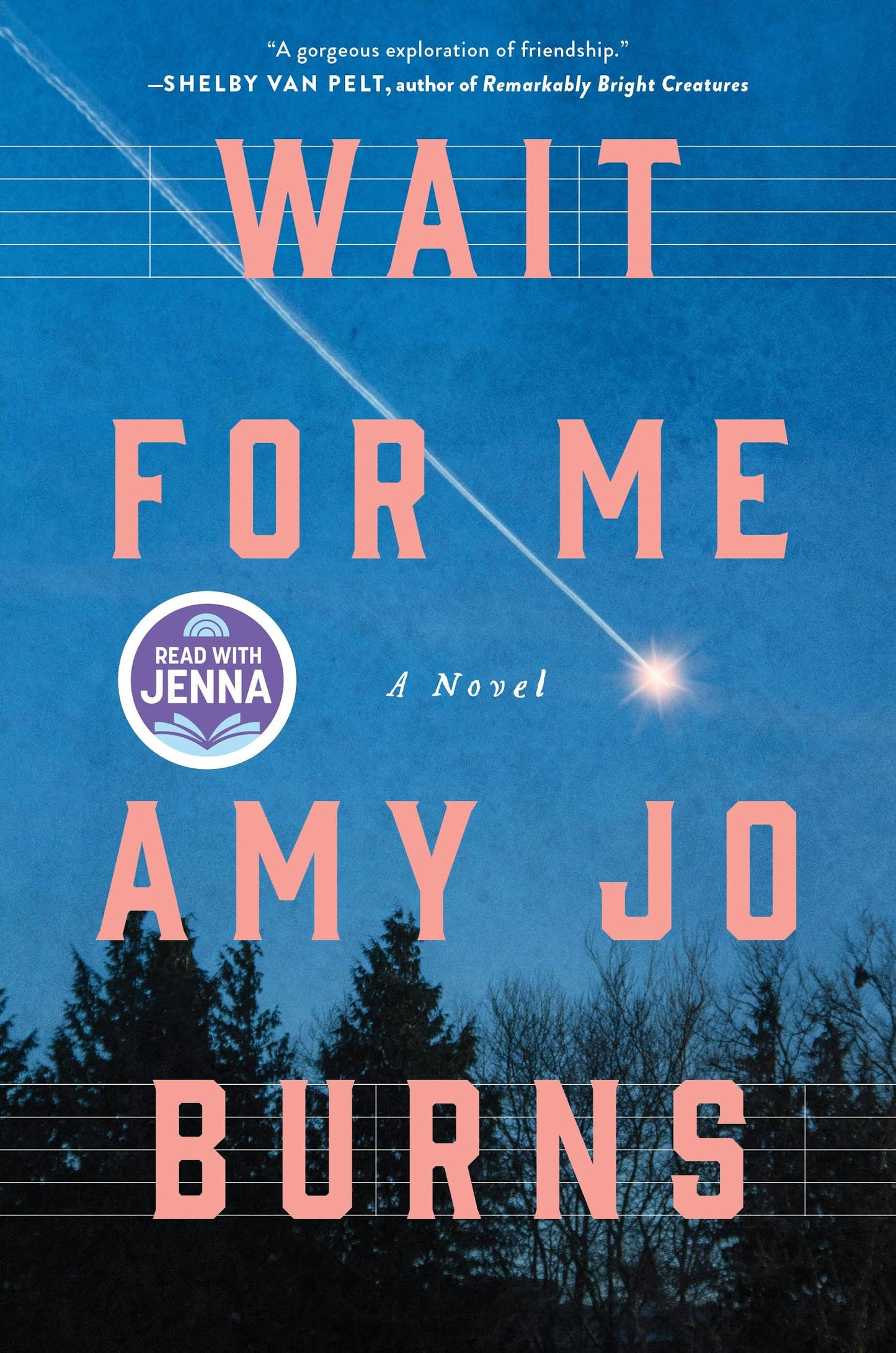 Wait For Me by Amy Jo Burns