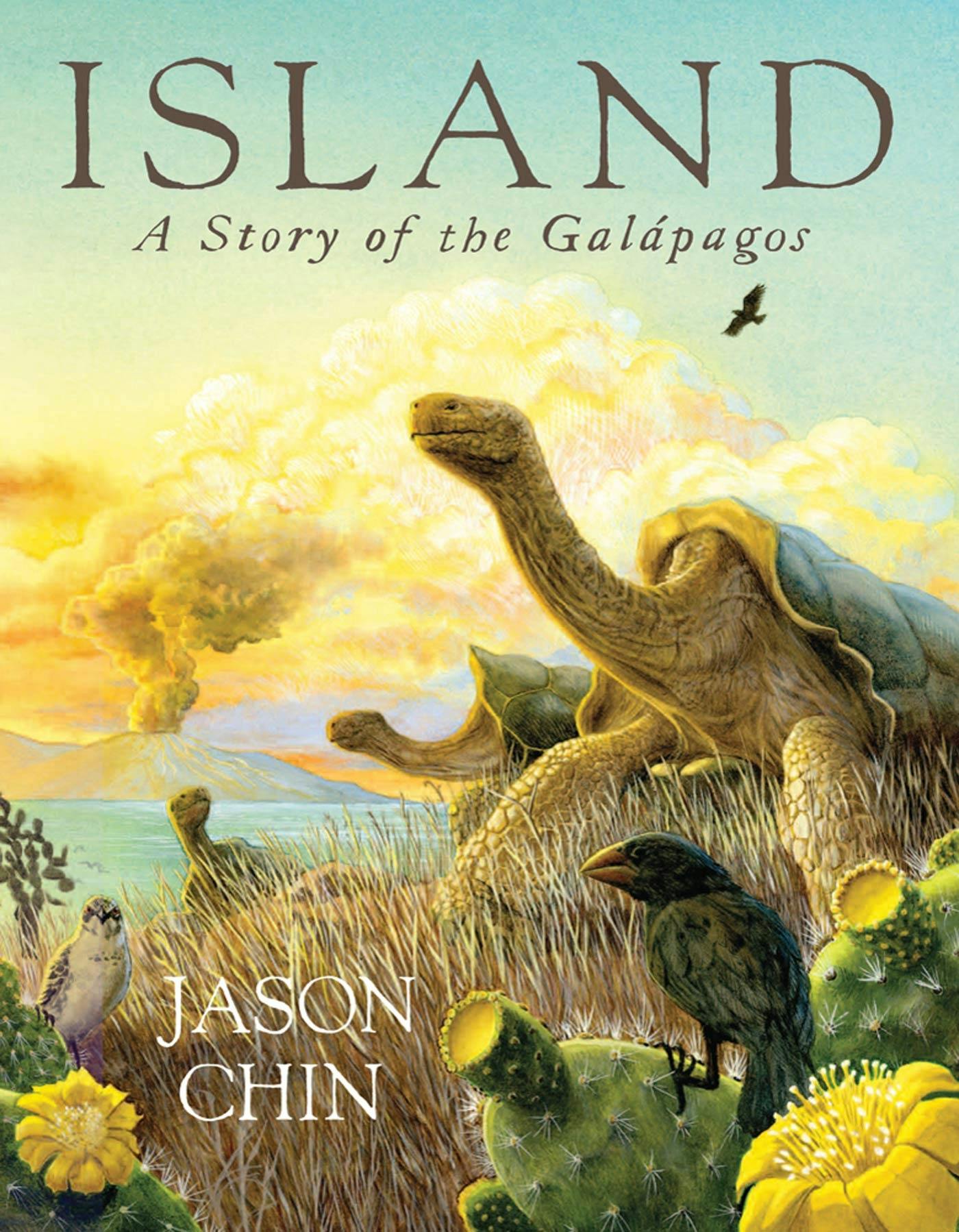 Island: A Story of the Galápagos by Jason Chin (Paperback Picture Book)