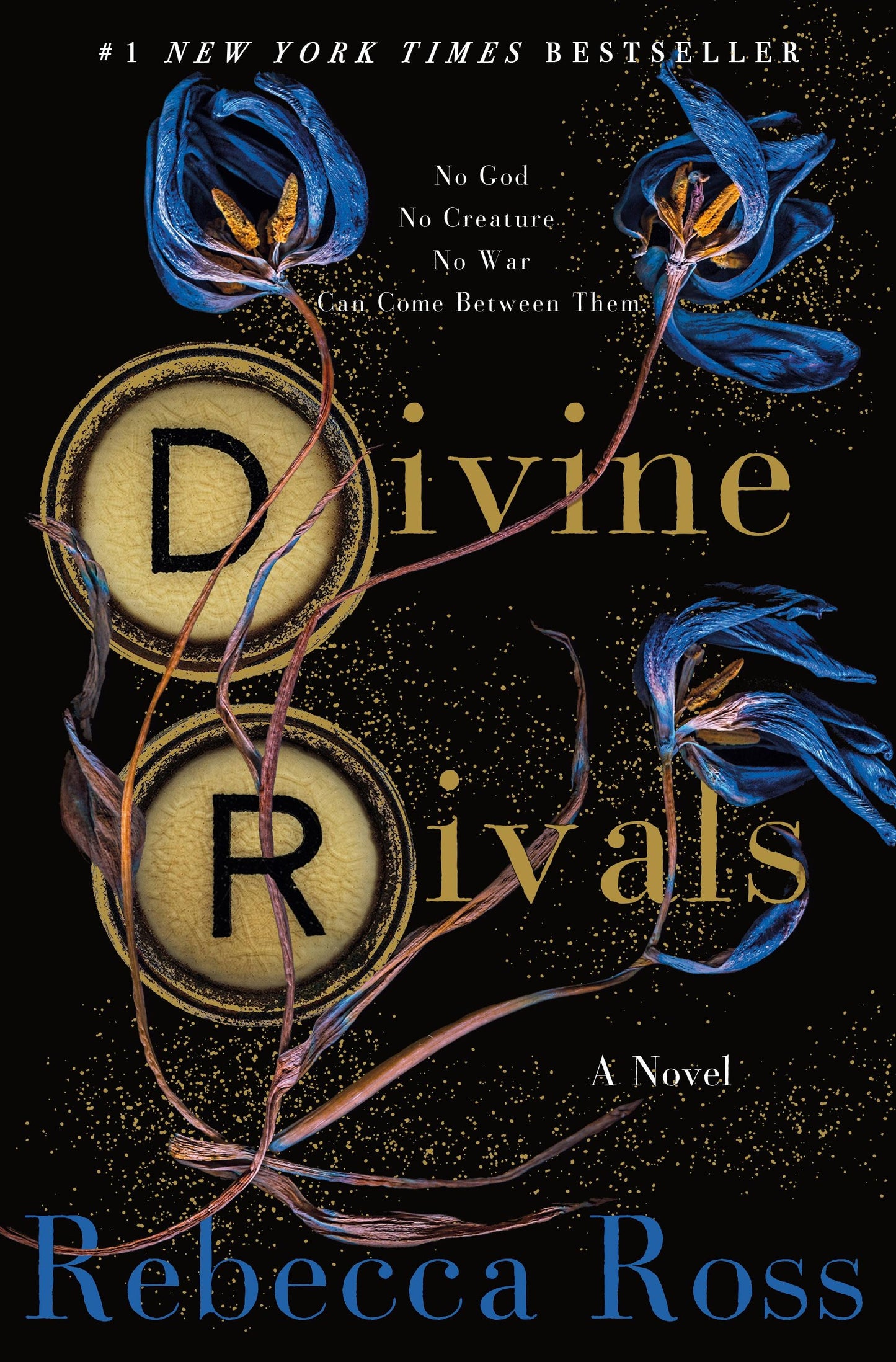 Divine Rivals: A Novel by Rebecca Ross (Hardcover)