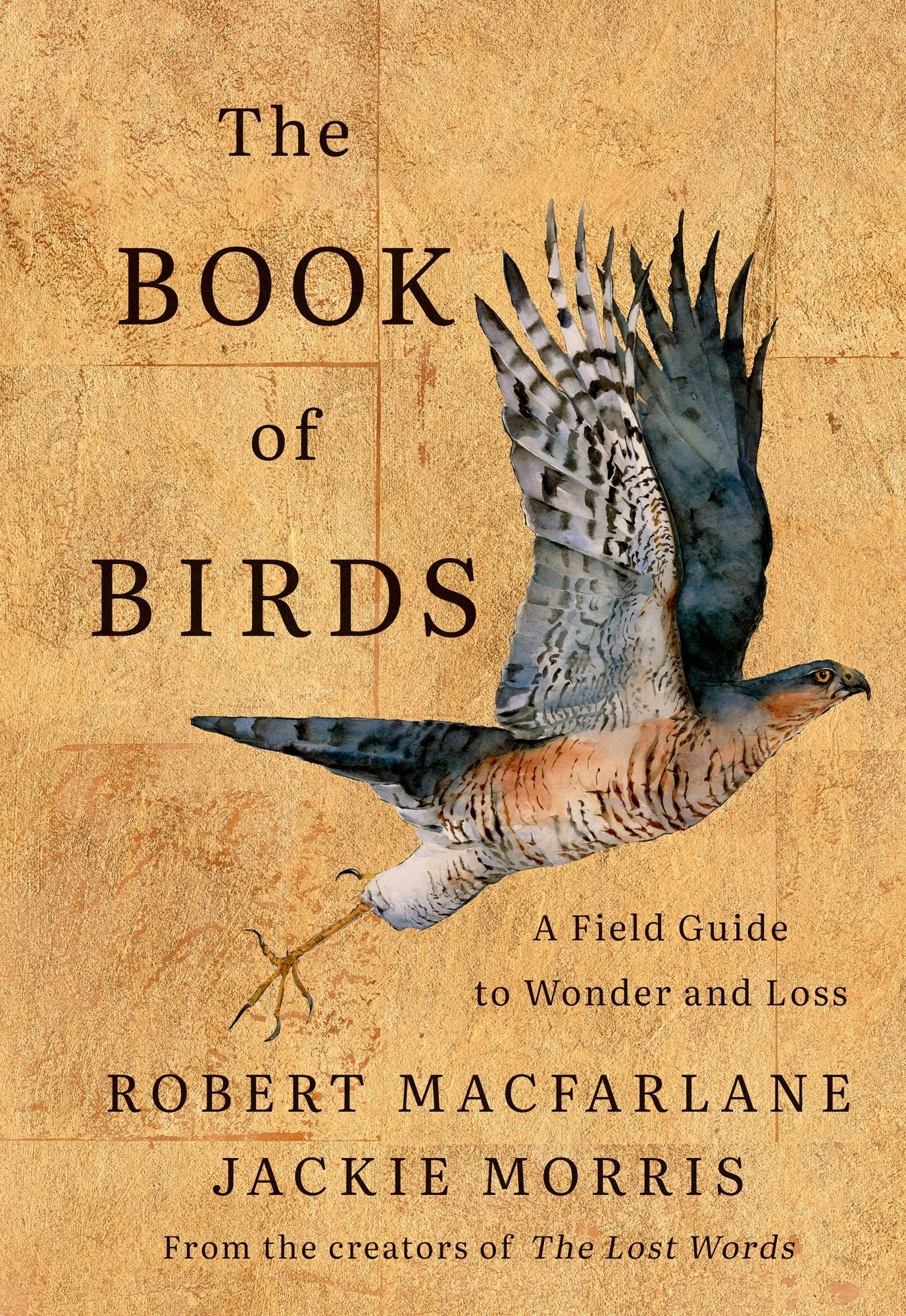 The Book of Birds: A Field Guide to Wonder and Loss by Robert MacFarlane and Jackie Morris