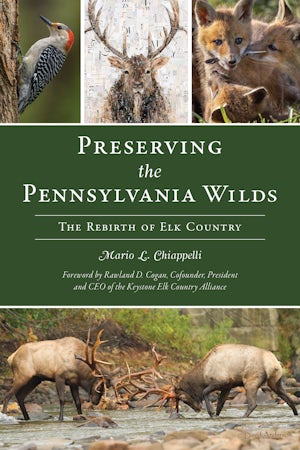 Preserving The Pennsylvania Wilds by Mario L. Chiappelli