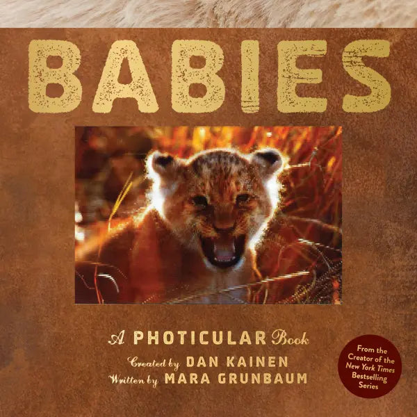 Babies: A Photicular Book by Dan Kainen and Mara Grunbaum