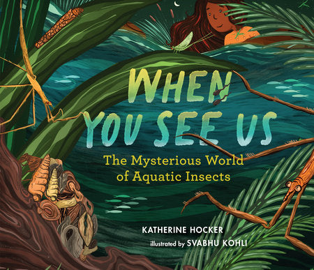 When You See Us by Katherine Hocker; Illustrated by Svabhu Kohli