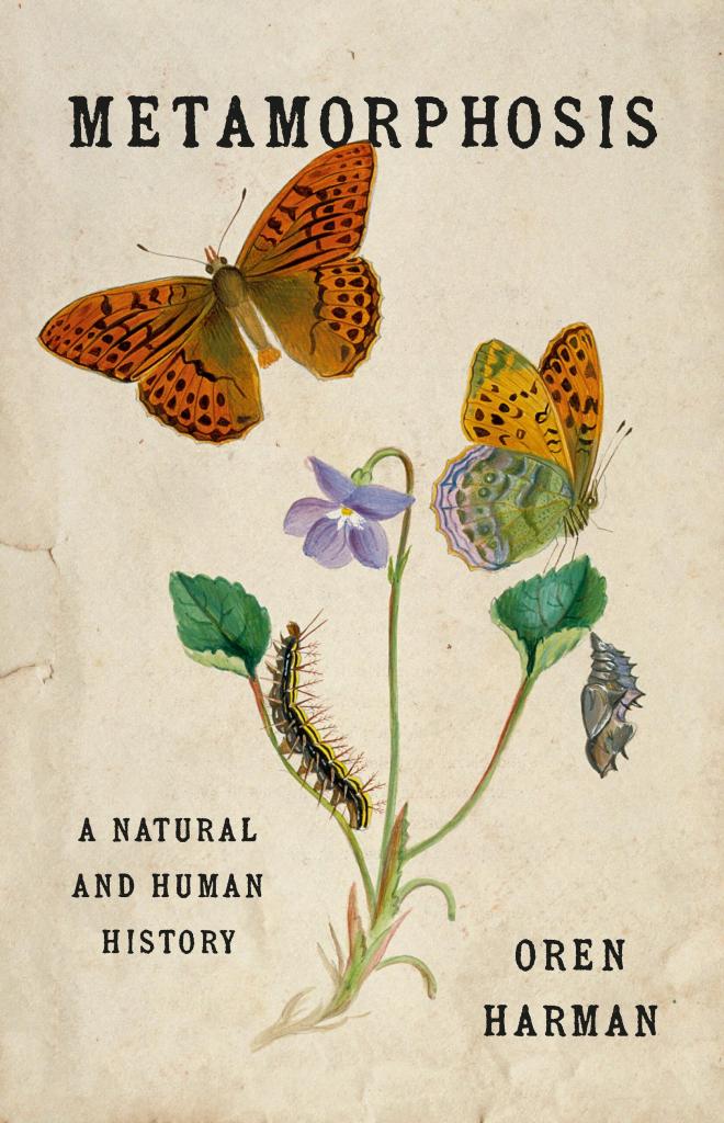Metamorphosis by Oren Harman