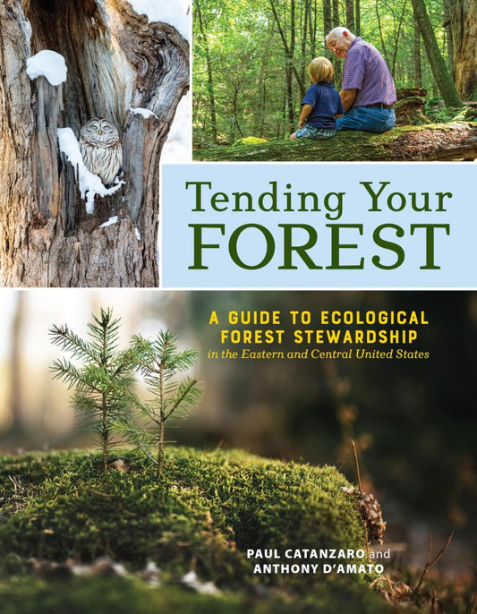 Tending Your Forest by Paul Catanzaro and Anthony D'Amato