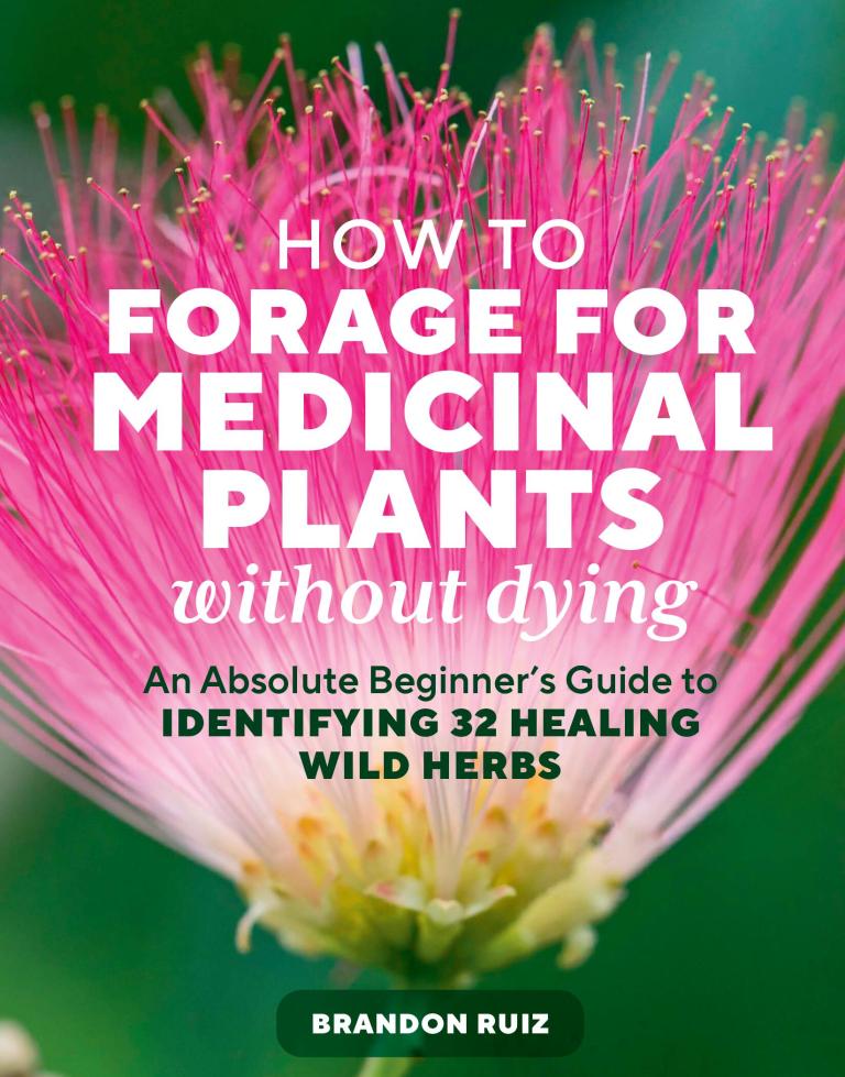 How To Forage For Medicinal Plants Without Dying by Brandon Ruiz