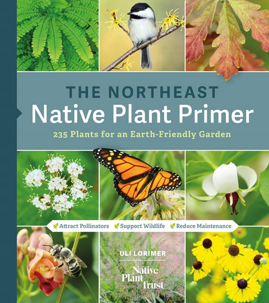 The Northeast Native Plant Primer by Uli Lorimer