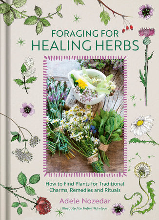 Foraging For Healing Herbs by Adele Nozedar; Illustrated by Helen Nicholson