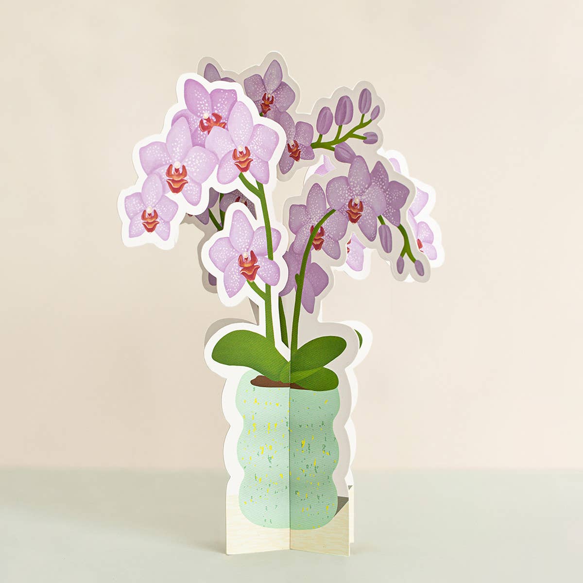 Orchid Plant Fold-Out Card