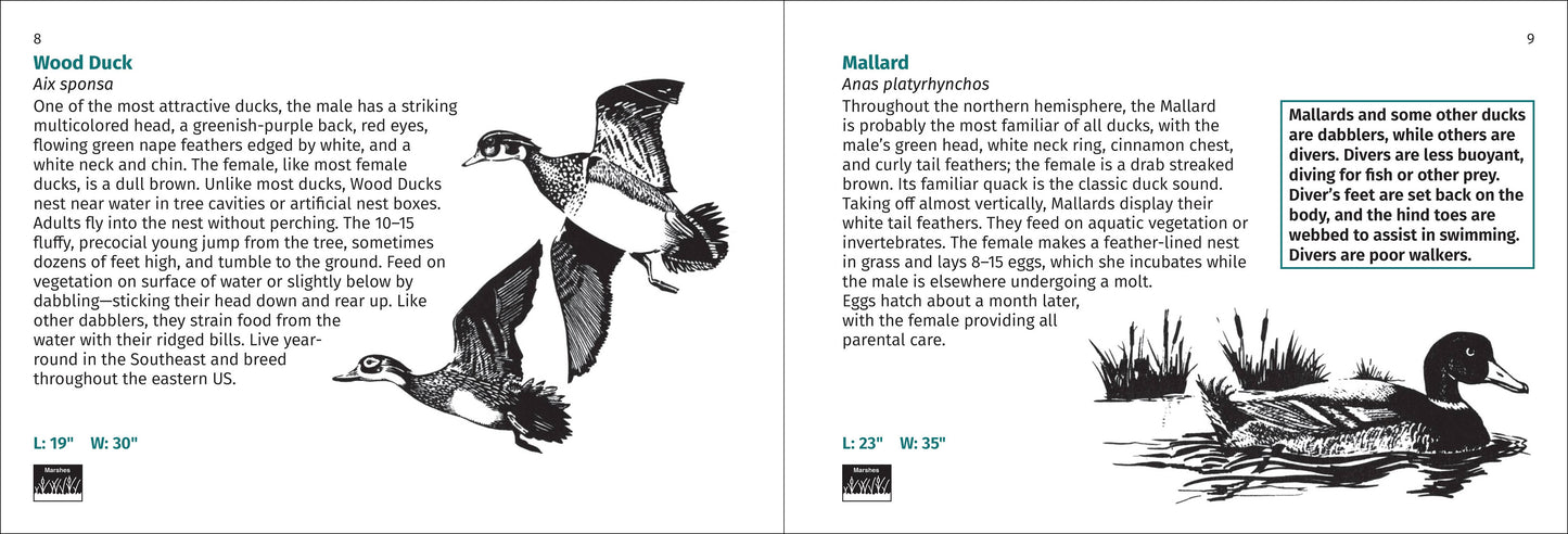 Bird Finder 2nd Edition