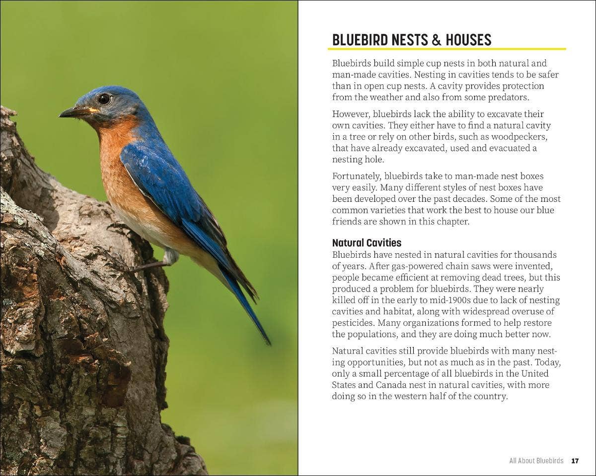 Attracting & Feeding Bluebirds (Paperback)