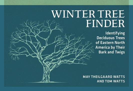 Winter Tree Finder 2nd Edition (Paperback)