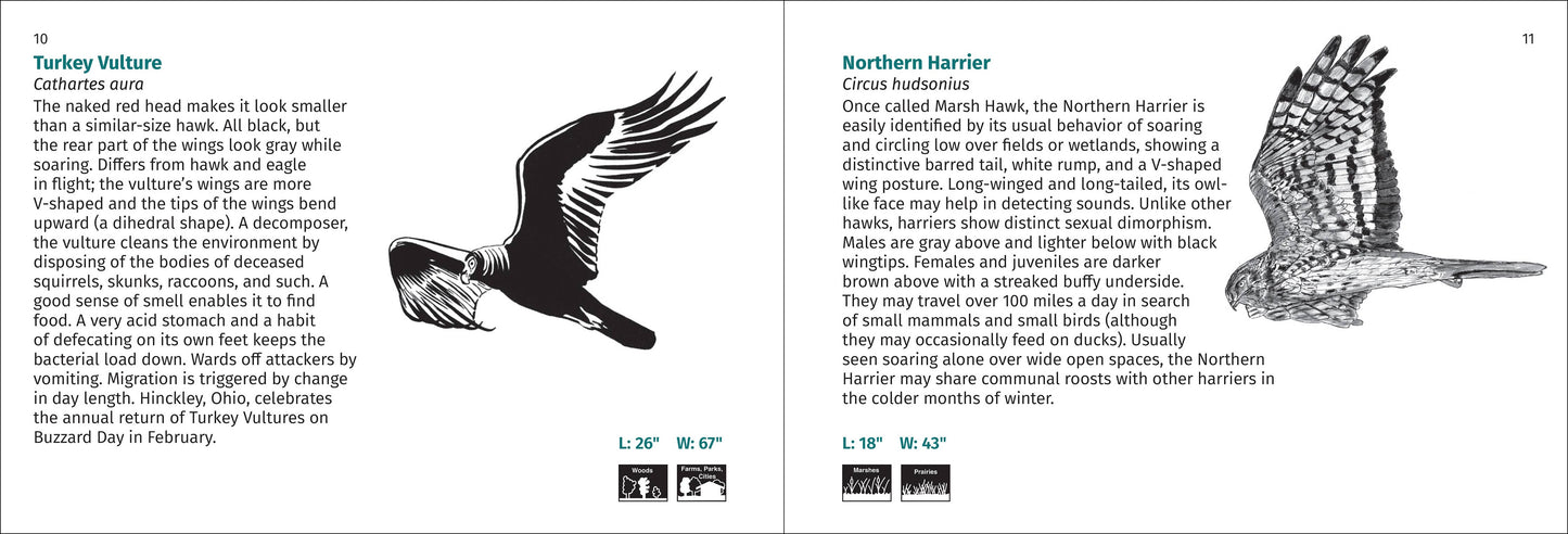 Bird Finder 2nd Edition