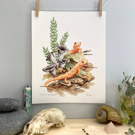 Red Efts with Trumpet Chanterelle Giclee Print