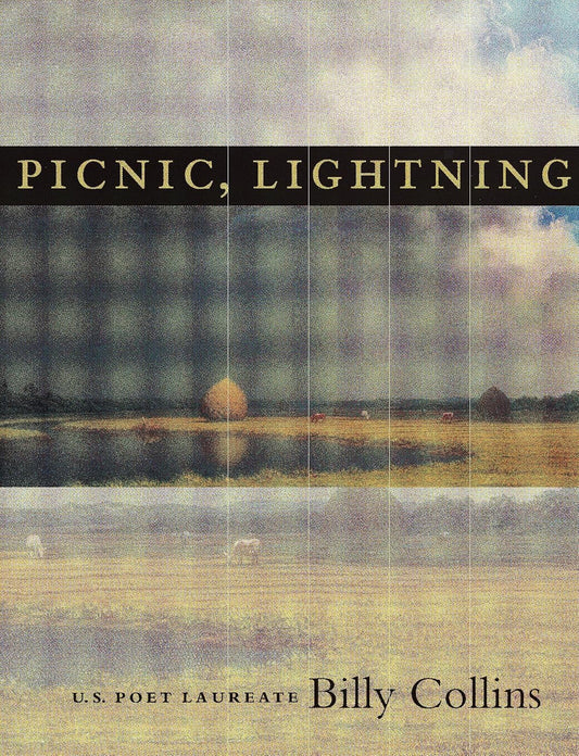 Picnic, Lightning by Billy Collins