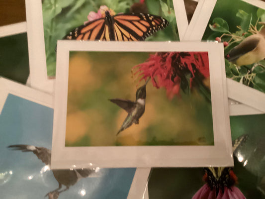 Ruby-Throated Hummingbird Greeting Card