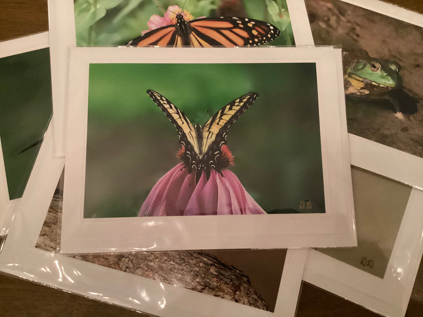 Tiger Swallowtail Greeting Card