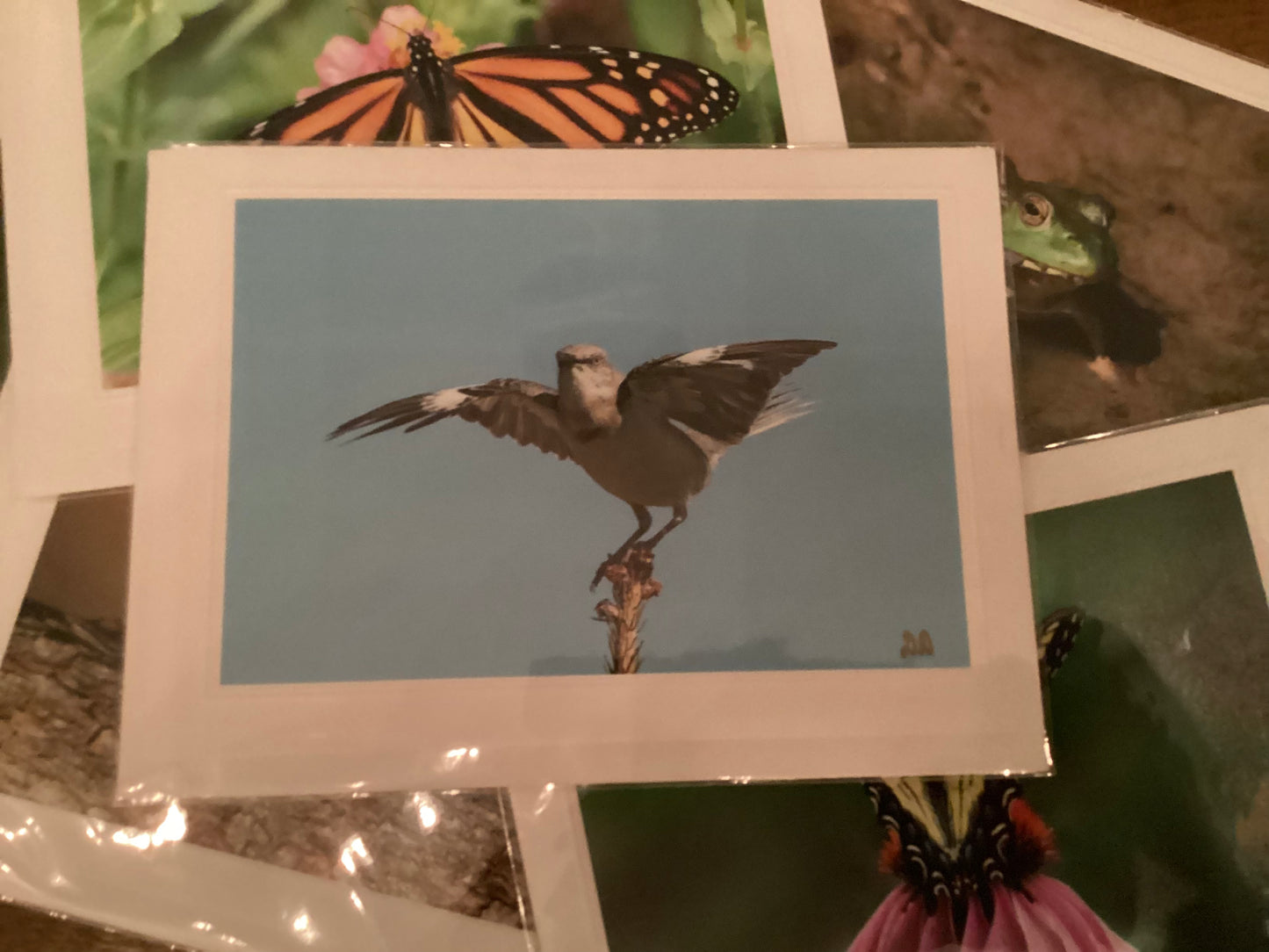 Northern Mockingbird Greeting Card