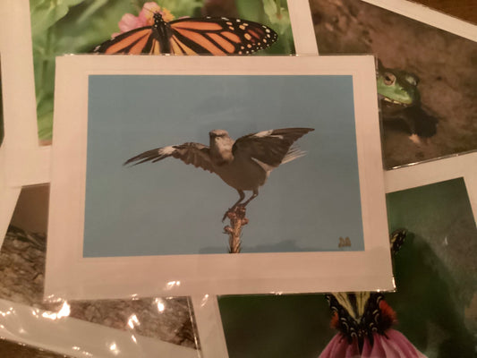 Northern Mockingbird Greeting Card