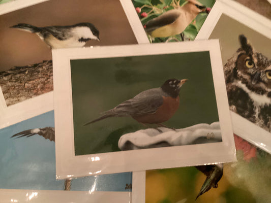 American Robin Greeting Card
