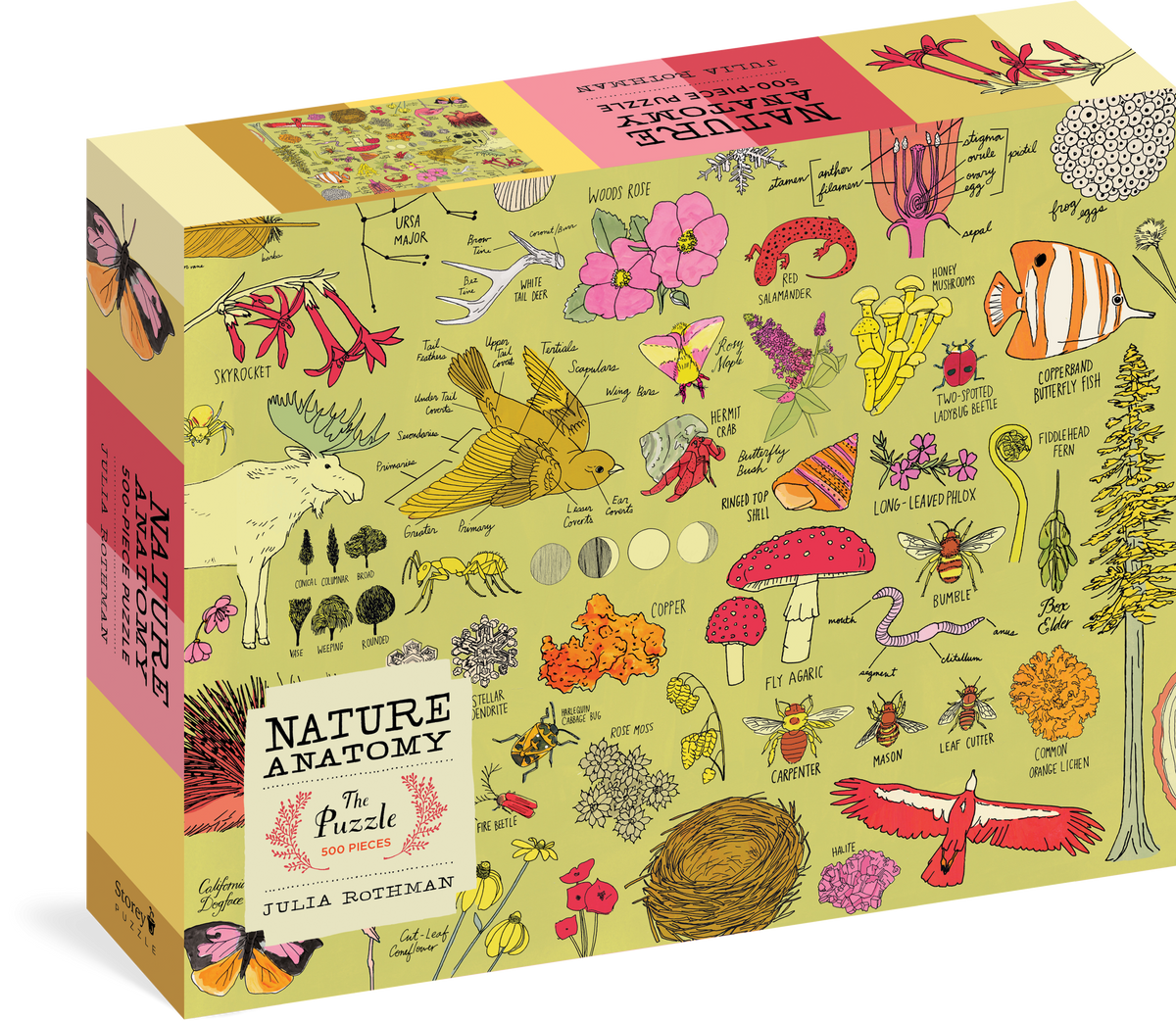 Nature Anatomy: The Puzzle