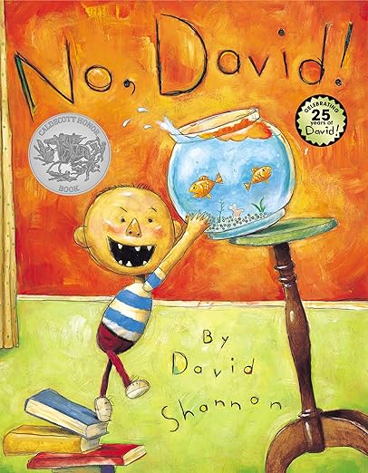 No, David! by David Shannon