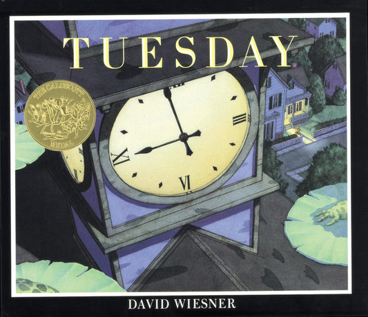 Tuesday by David Wiesner (Paperback)