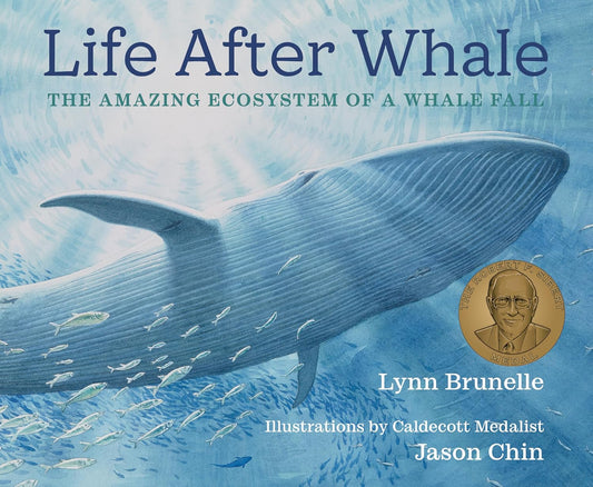 Life After Whale by Lynn Brunelle; Illustrated by Jason Chin