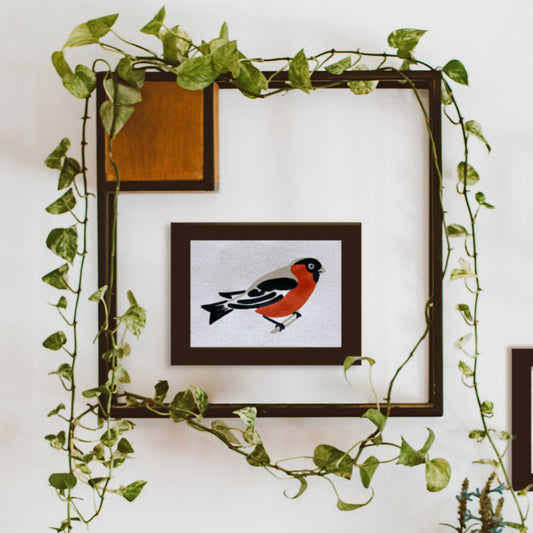 Bird Study Kit: Robin