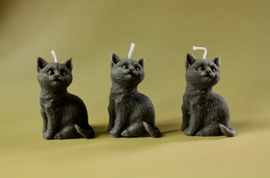 Black Cat Candle