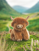Highland Cow