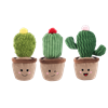 Whimsical Cactus