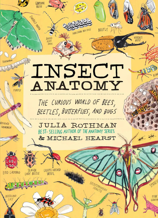 Insect Anatomy by Julia Rothman and Michael Hearst