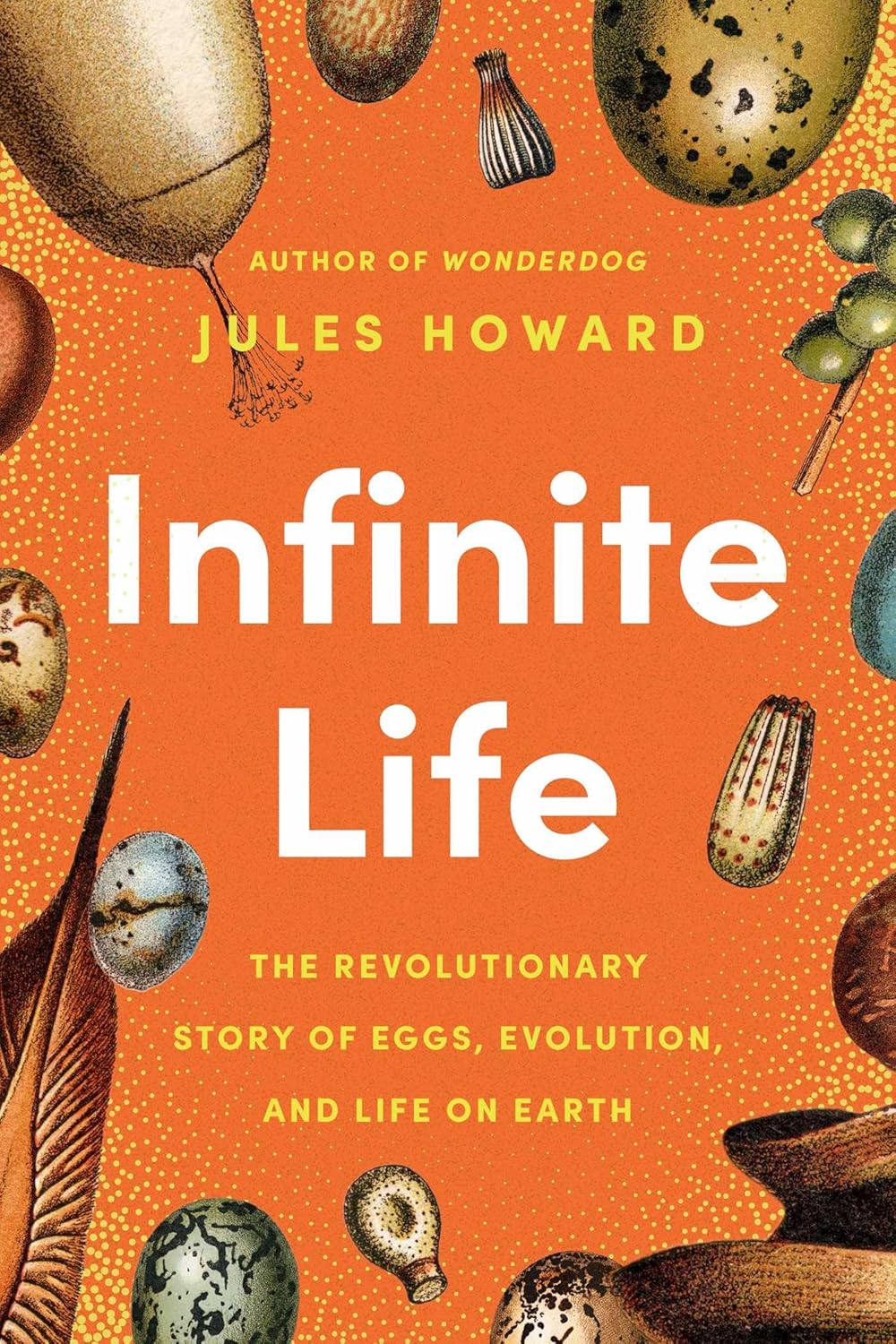 Infinite Life by Jules Howard