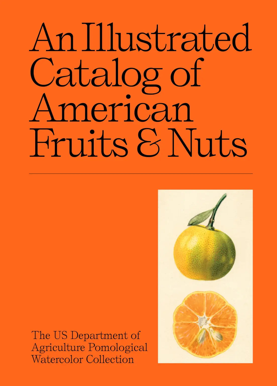 An Illustrated Catalog of American Fruits and Nuts