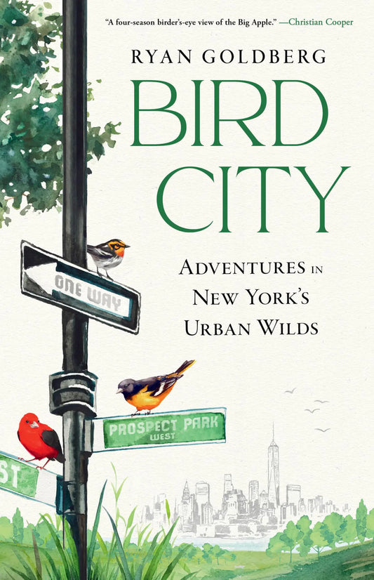 Bird City by Ryan Goldberg