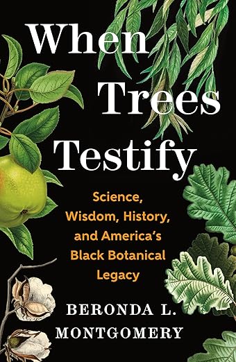 When Trees Testify by Beronda L. Montgomery