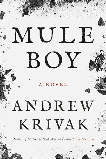Mule Boy by Andrew Krivak