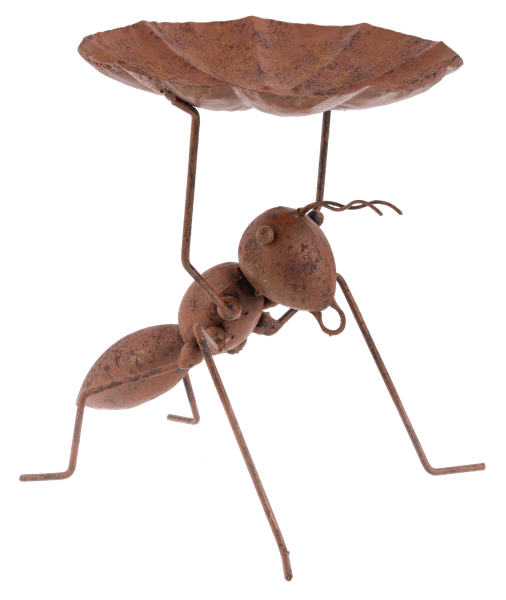 Ant bird feeder