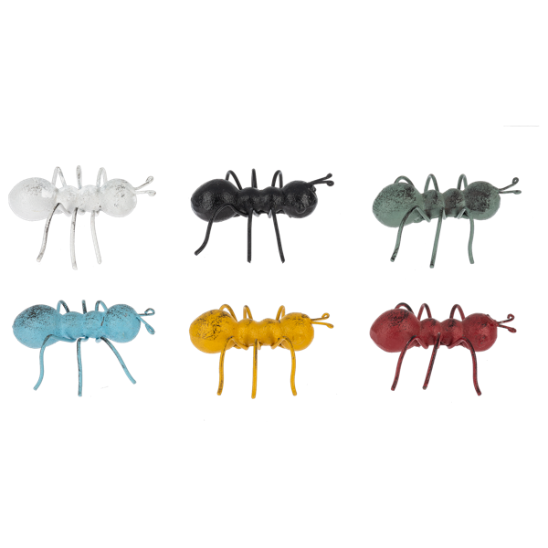 Mini Ant’s