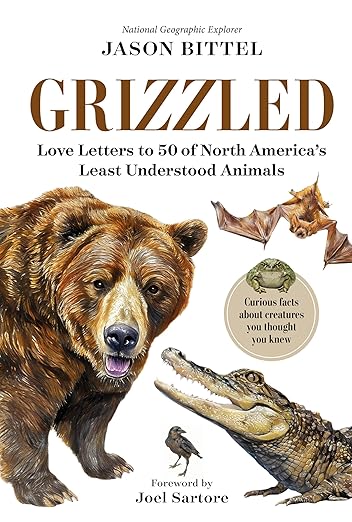 Grizzled by Jason Bittel