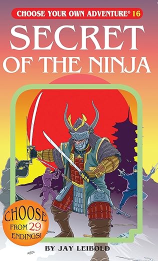 Secret of The Ninja by Jay Leibold