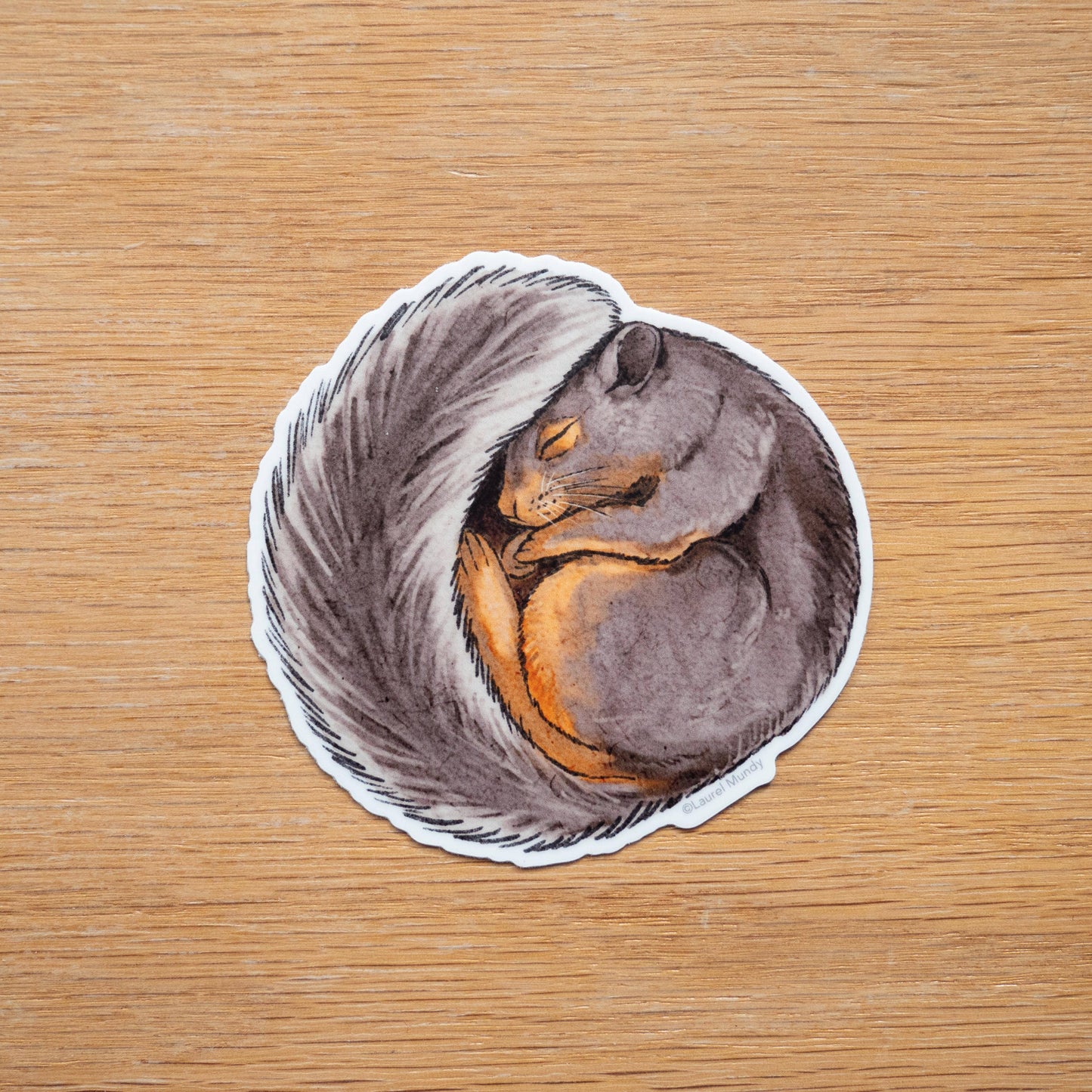 Sleepy Squirrel 3" Vinyl Sticker dishwasher safe