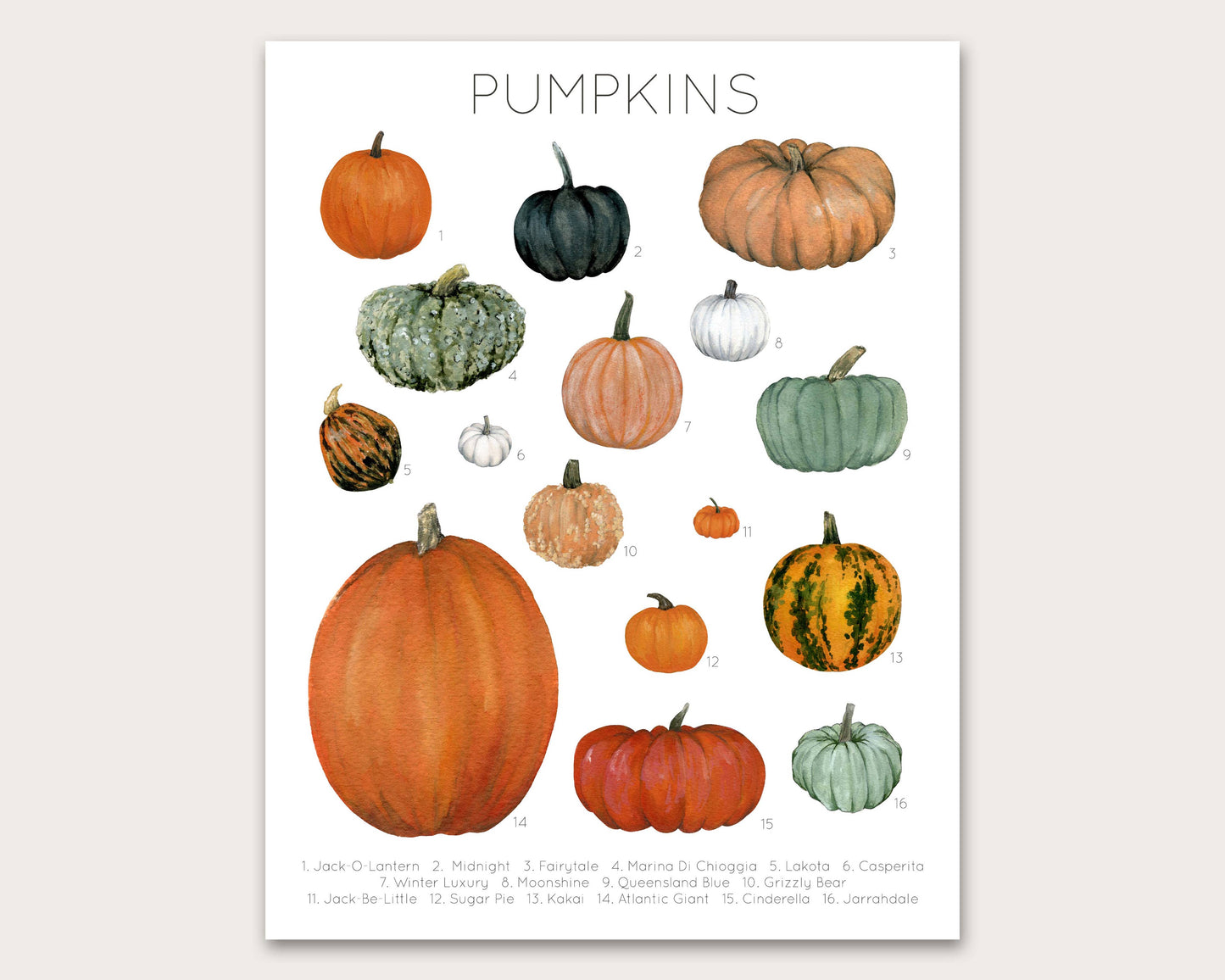 Pumpkin Varieties Art Print
