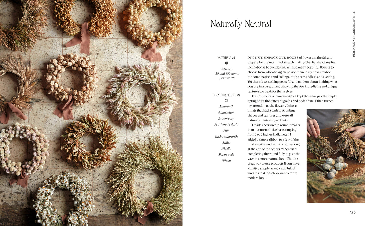 Designing with Dried Flowers by Hannah Muller (Hardcover)