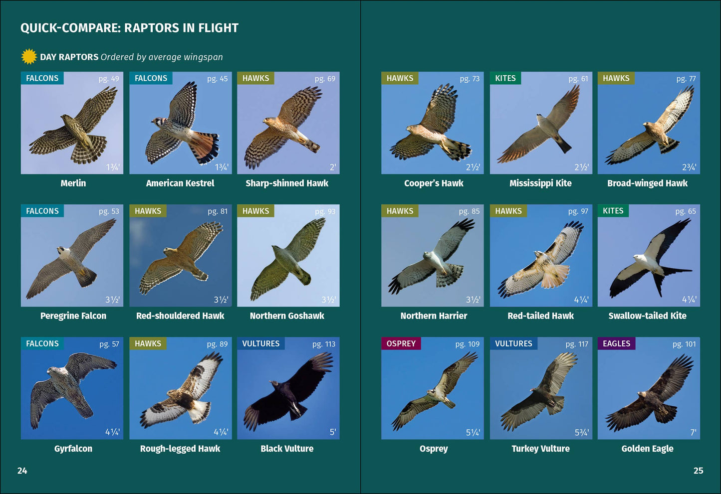 Birds of Prey of the Northeast Field Guide 2nd Edition