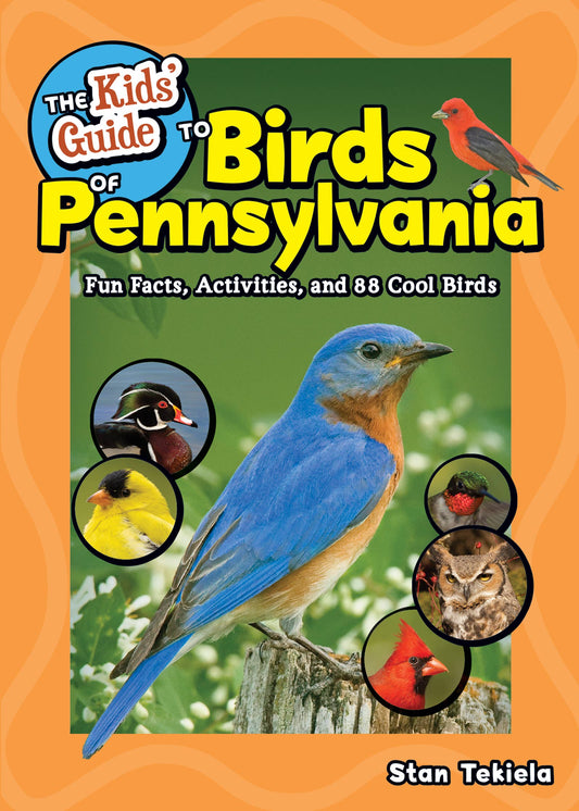 Kids' Guide to Birds of Pennsylvania (Paperback)