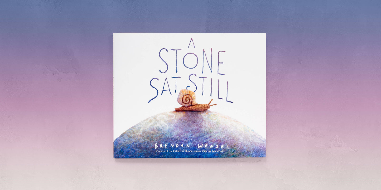 A Stone Sat Still by Brendan Wenzel